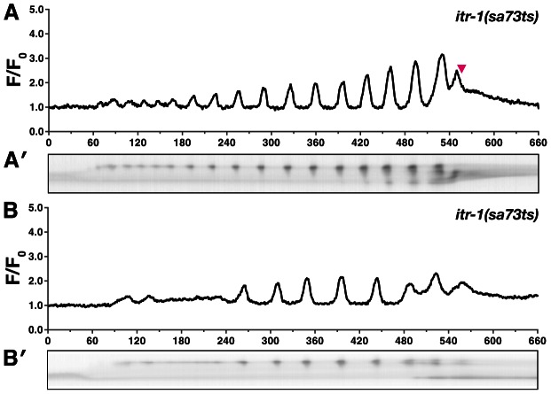 Figure 5