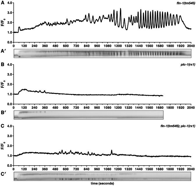 Figure 4