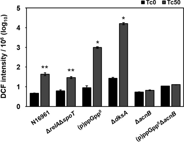 Figure 7.