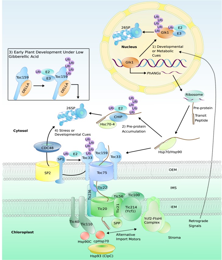 Figure 1.