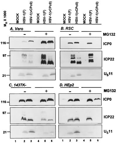 FIG. 9.