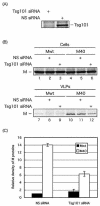 FIG. 6.