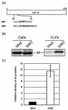 FIG. 1.