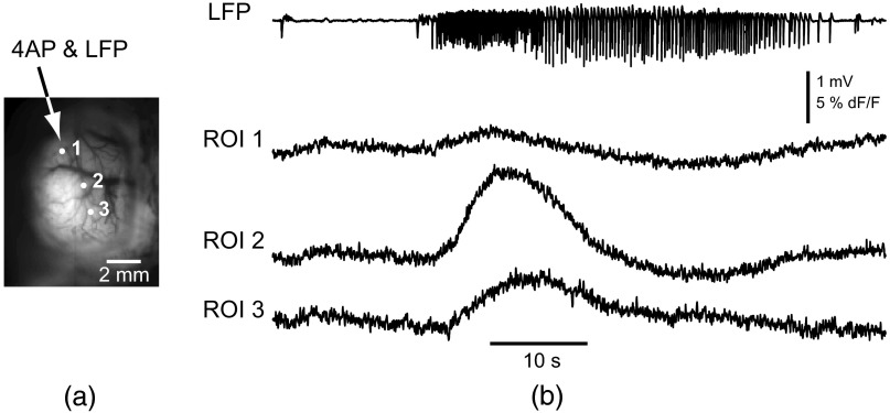 Fig. 7