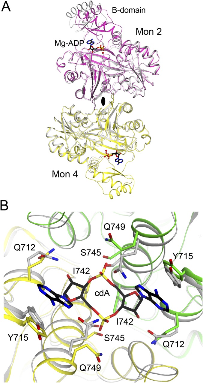 Fig. S3.