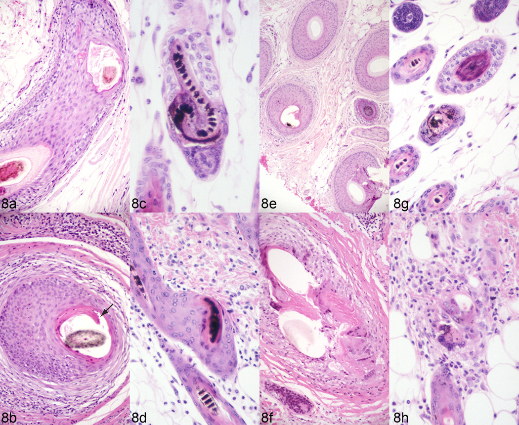 Fig. 8