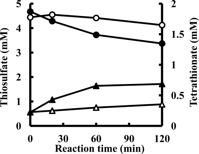 Fig 5