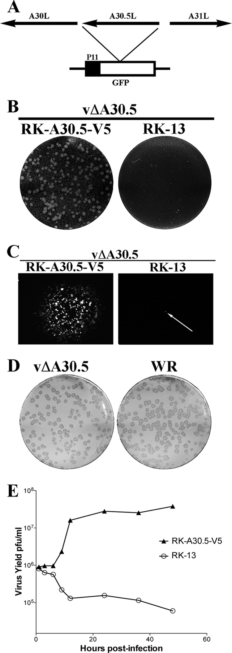 Fig 6