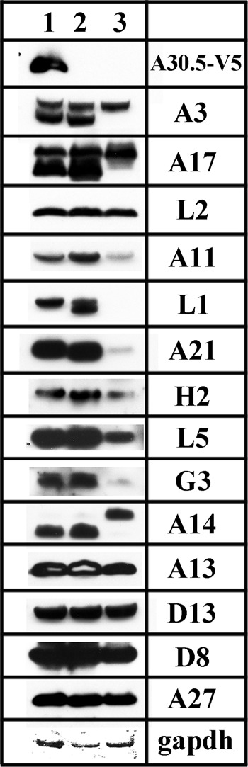 Fig 11