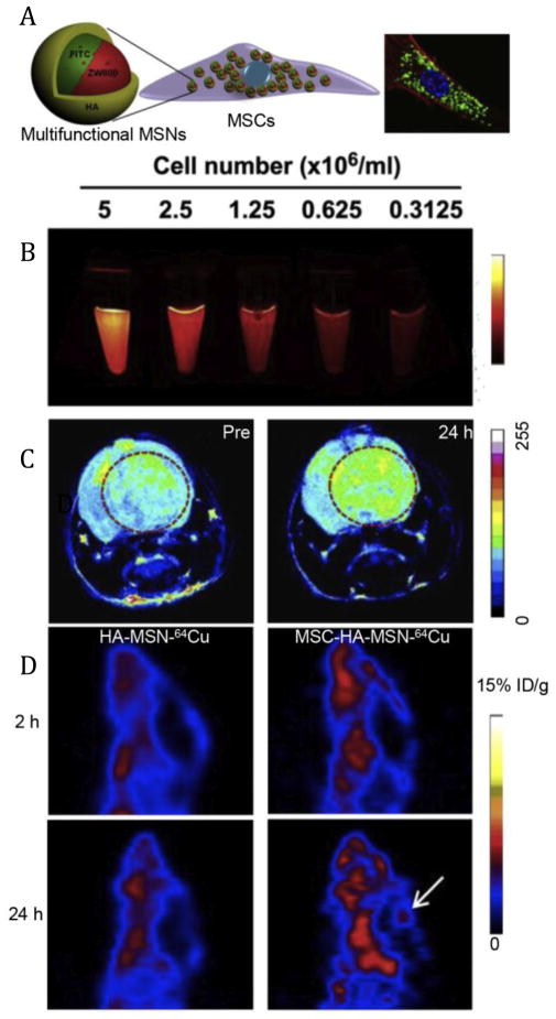 Fig. 9