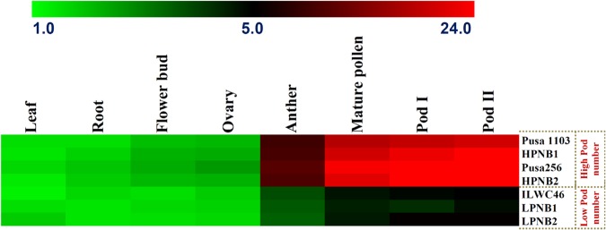 Figure 5.