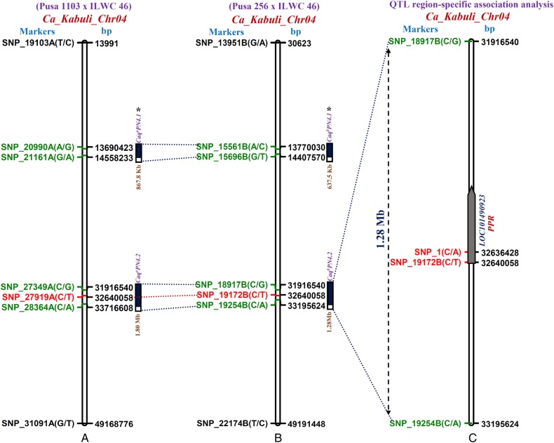 Figure 4.