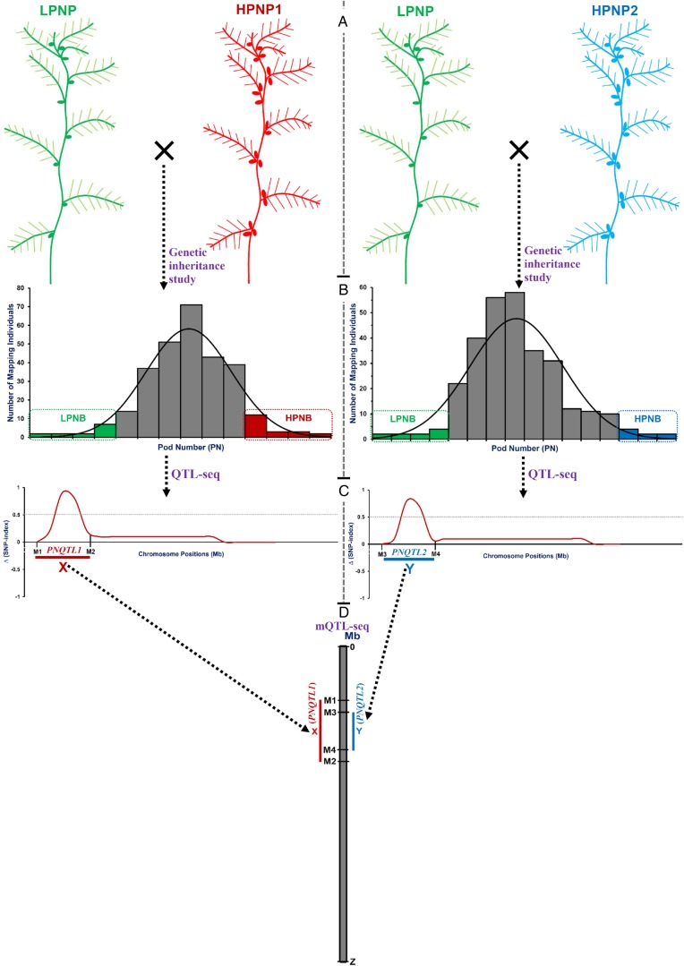 Figure 1.