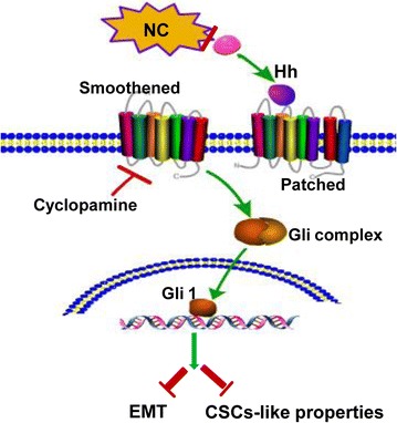 Fig. 7