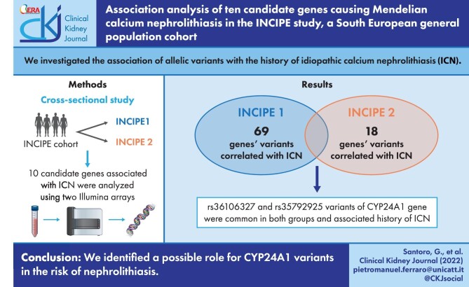 Graphical Abstract