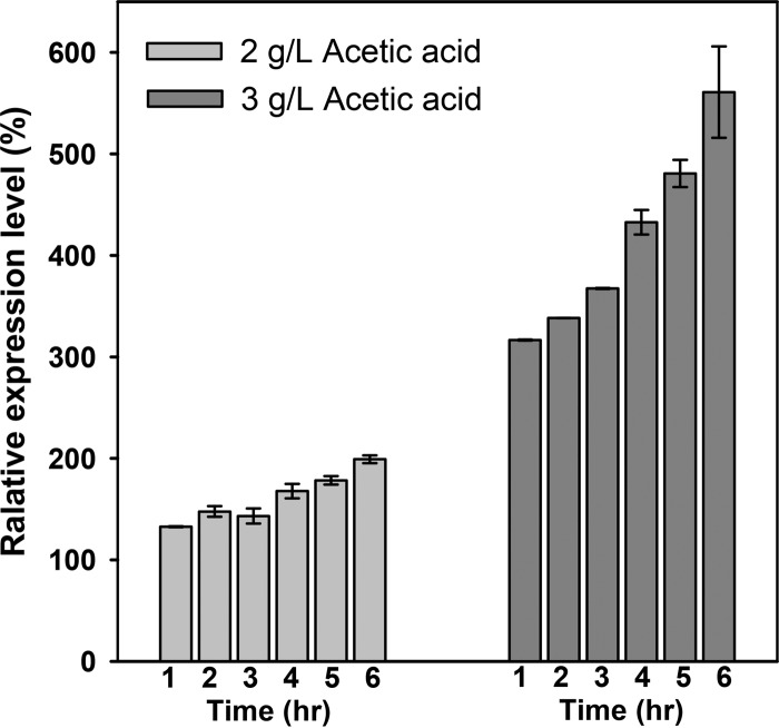 FIG 3