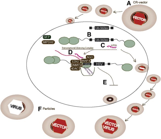 Figure 4