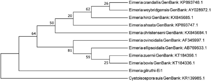 Figure 4.