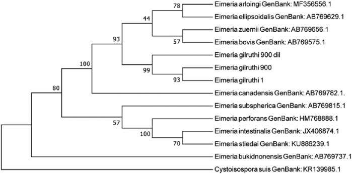 Figure 5.