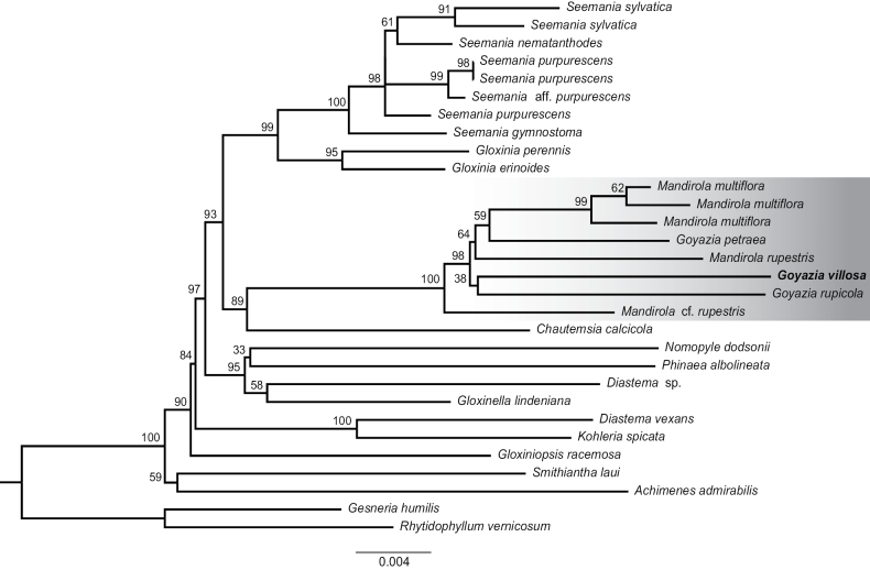 Figure 4.