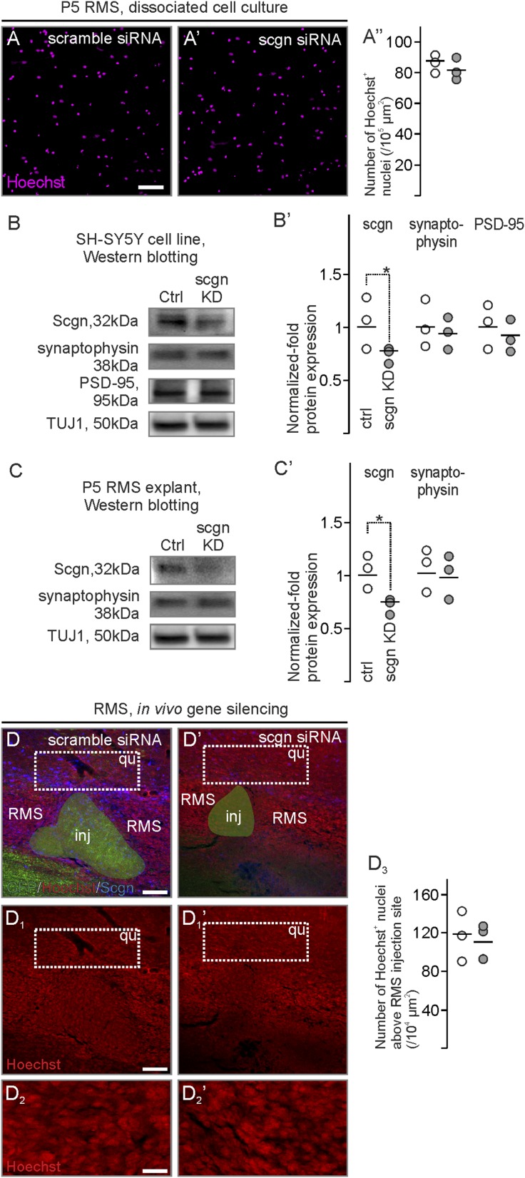 Fig. S9.