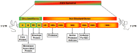 Fig. 2