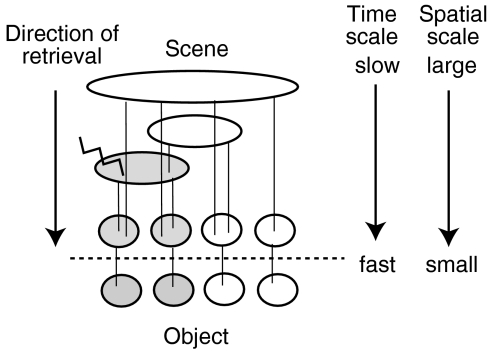 Fig. 7