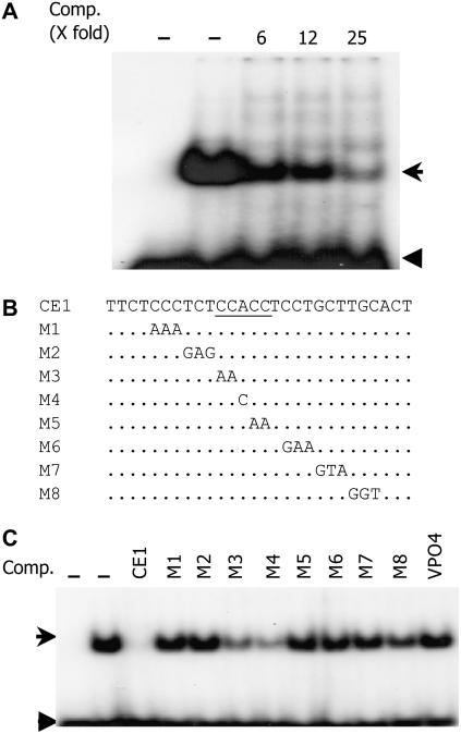 Figure 5.