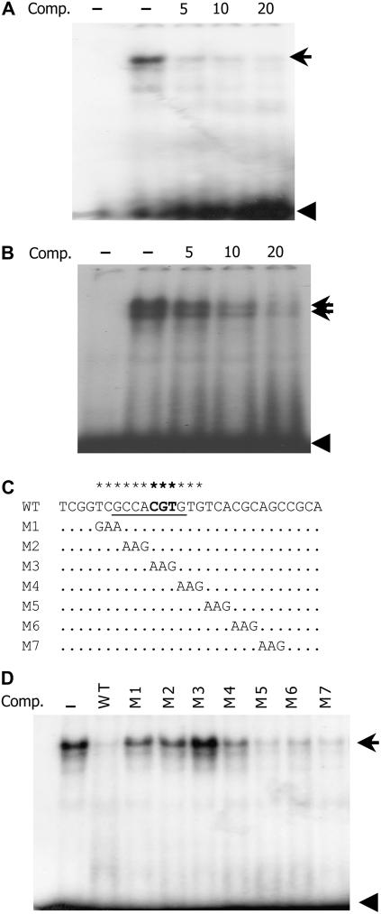 Figure 4.