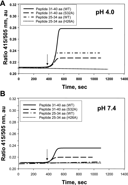 Fig. 5.