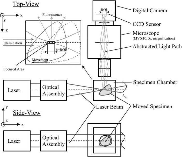 Fig. 1