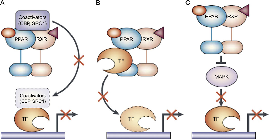 Figure 2.2