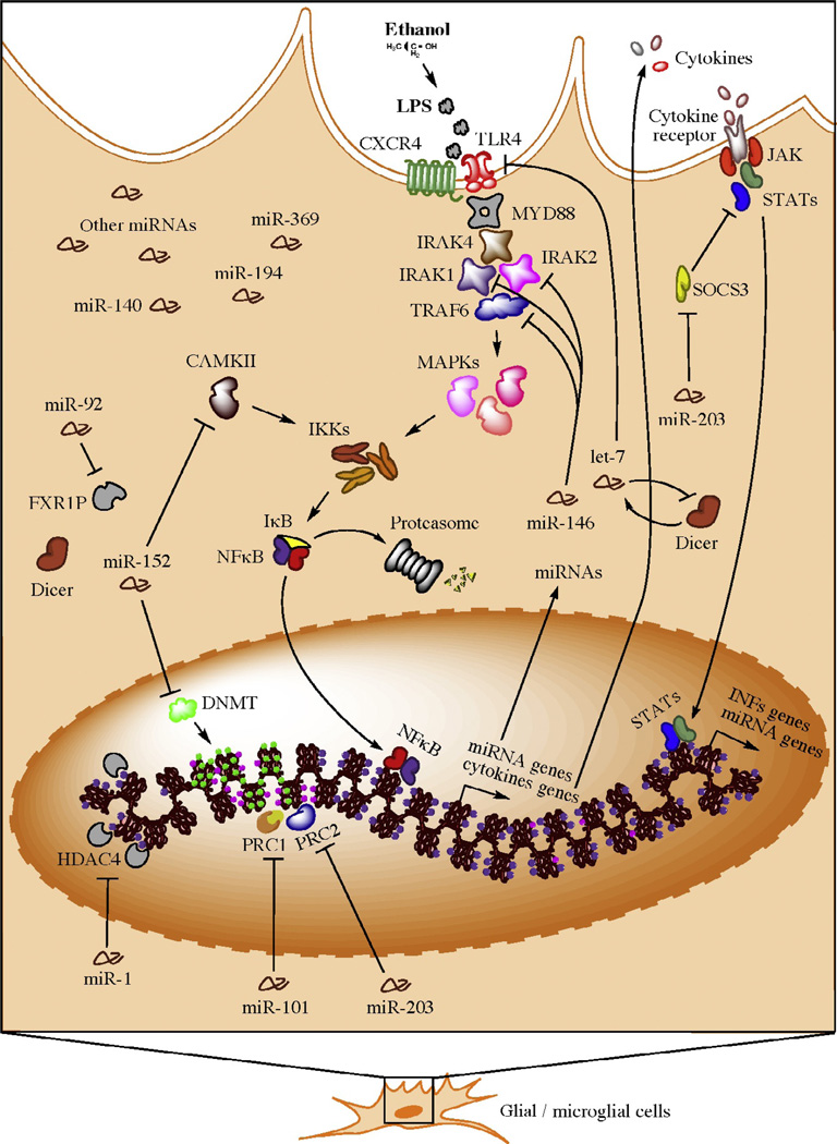 Figure 2.3