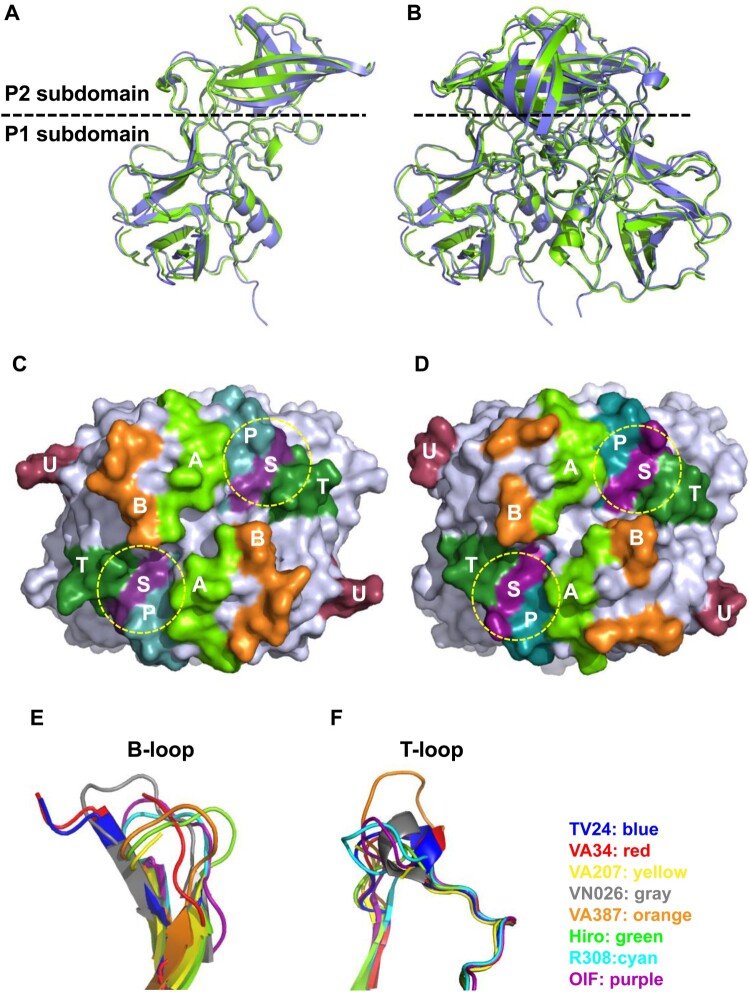 Figure 6.