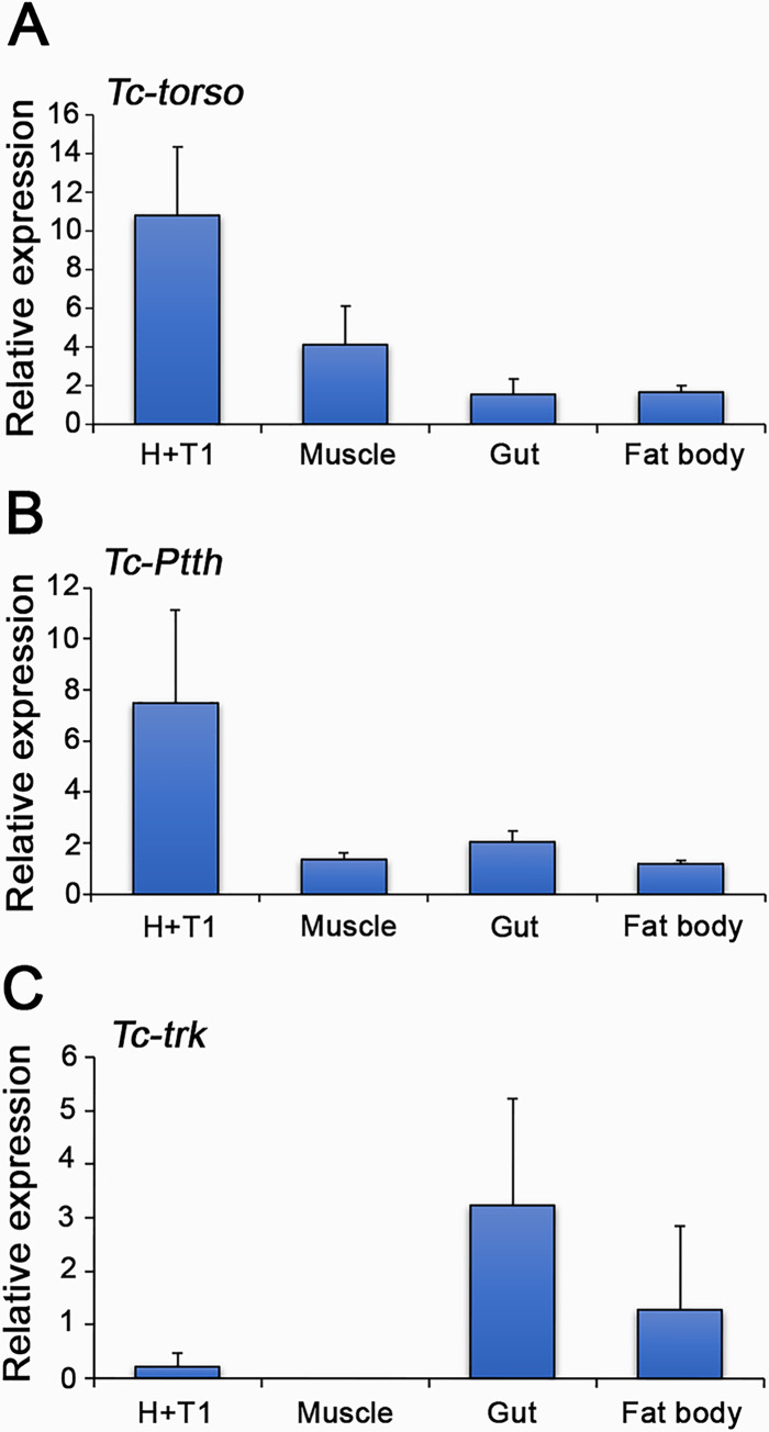 Fig 3