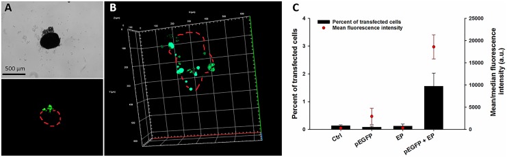 Figure 2.