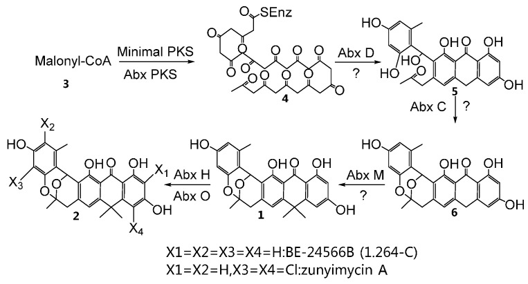 Scheme 1