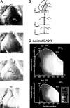 Figure 9.