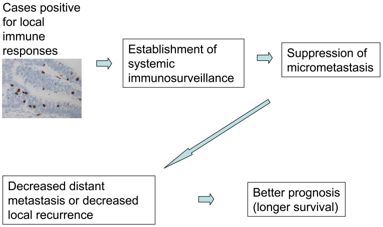 Figure 7