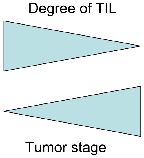 Figure 8