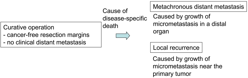 Figure 6