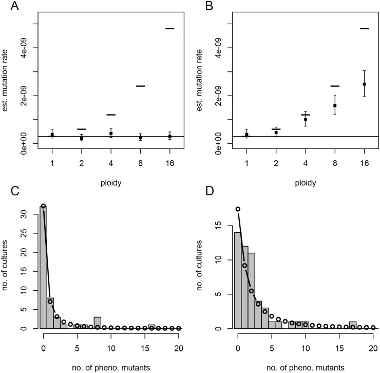 Fig 6