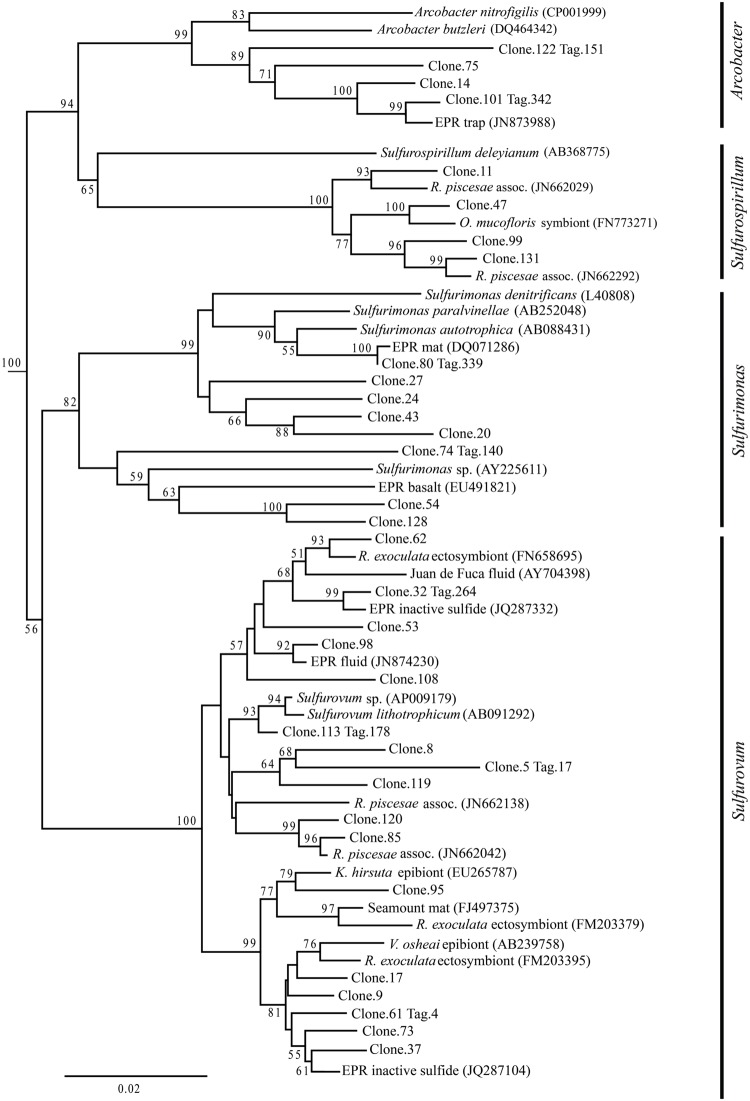 FIGURE 7