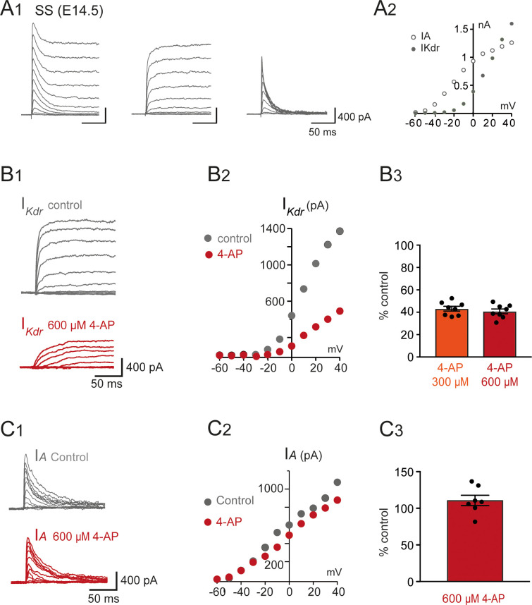 Figure 6—figure supplement 2.