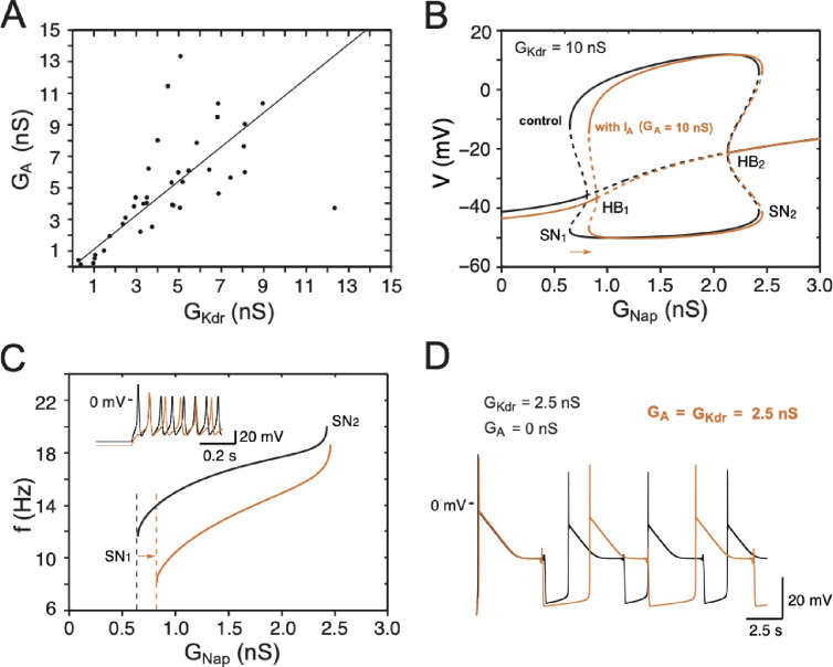 Figure 7—figure supplement 1.