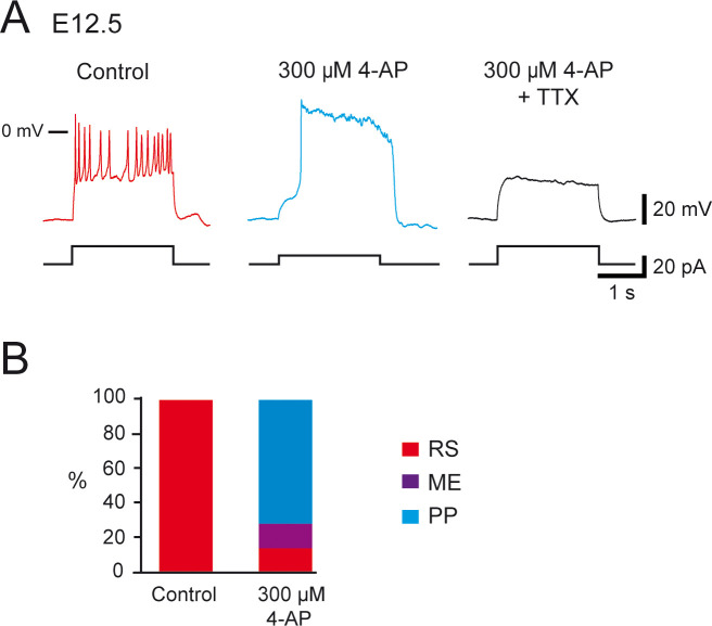 Figure 2—figure supplement 2.