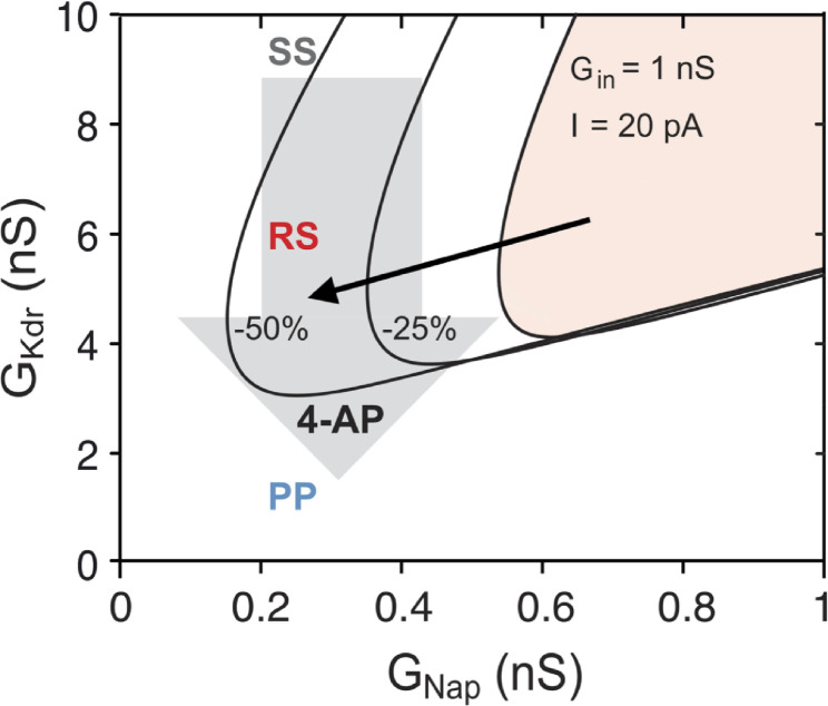 Figure 7—figure supplement 2.