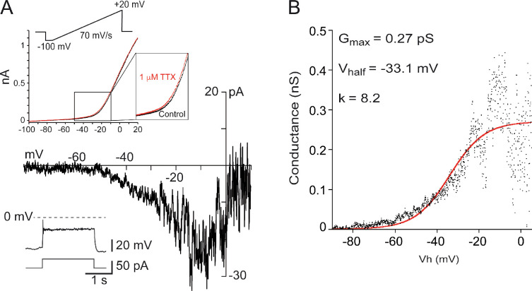 Figure 6—figure supplement 1.