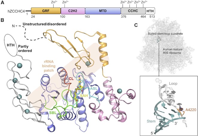 Figure 6.