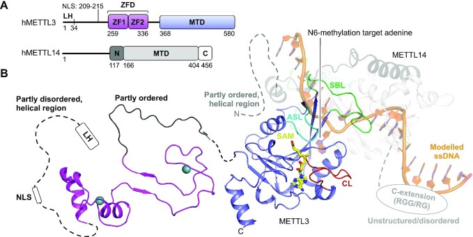 Figure 2.